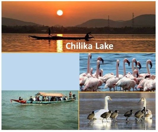 Chilka Lake